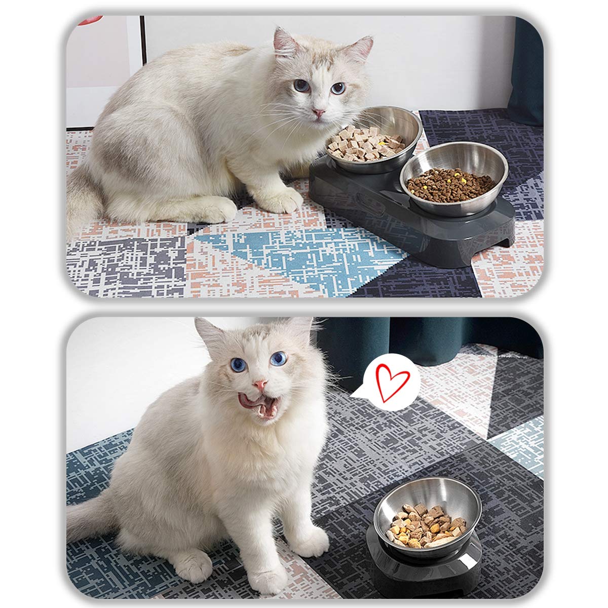 AYADA bol chat design durable adapté aux petits félins d’intérieur