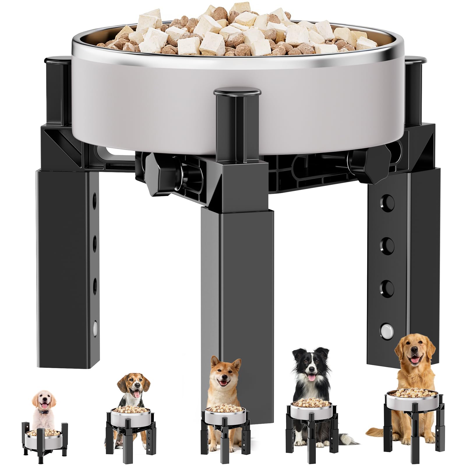 Aystkniet: support-gamelles chien reglable en hauteur pour repas plus confortable.