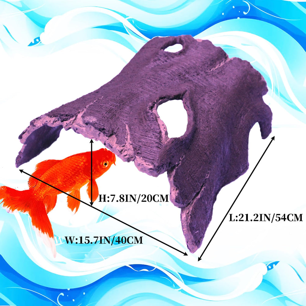 Aytupotin cave koi spacieuse, idéale pour plusieurs poissons