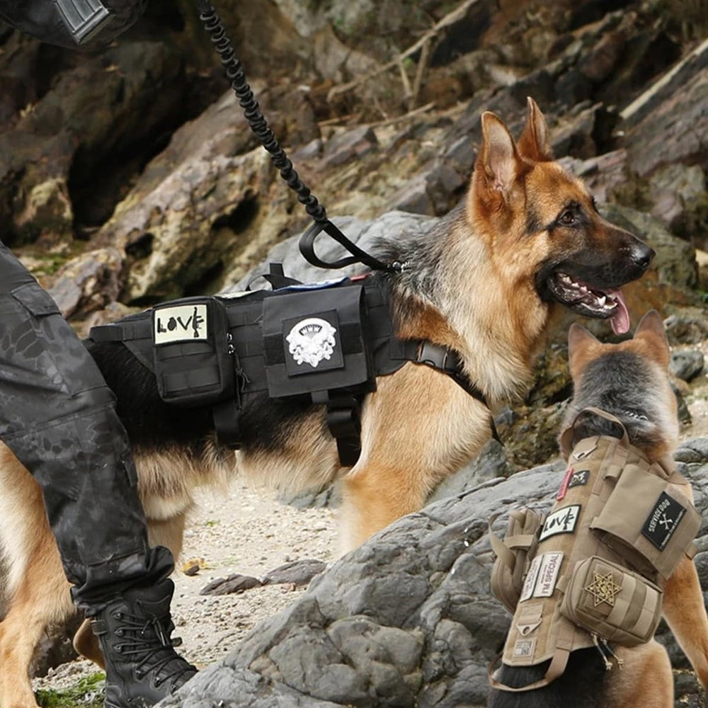 Poche MOLLE premiers secours AZB, accès rapide en cas de besoin.