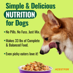 Aperçu des 24 vitamines et minéraux pour chiens avec Azestfor.