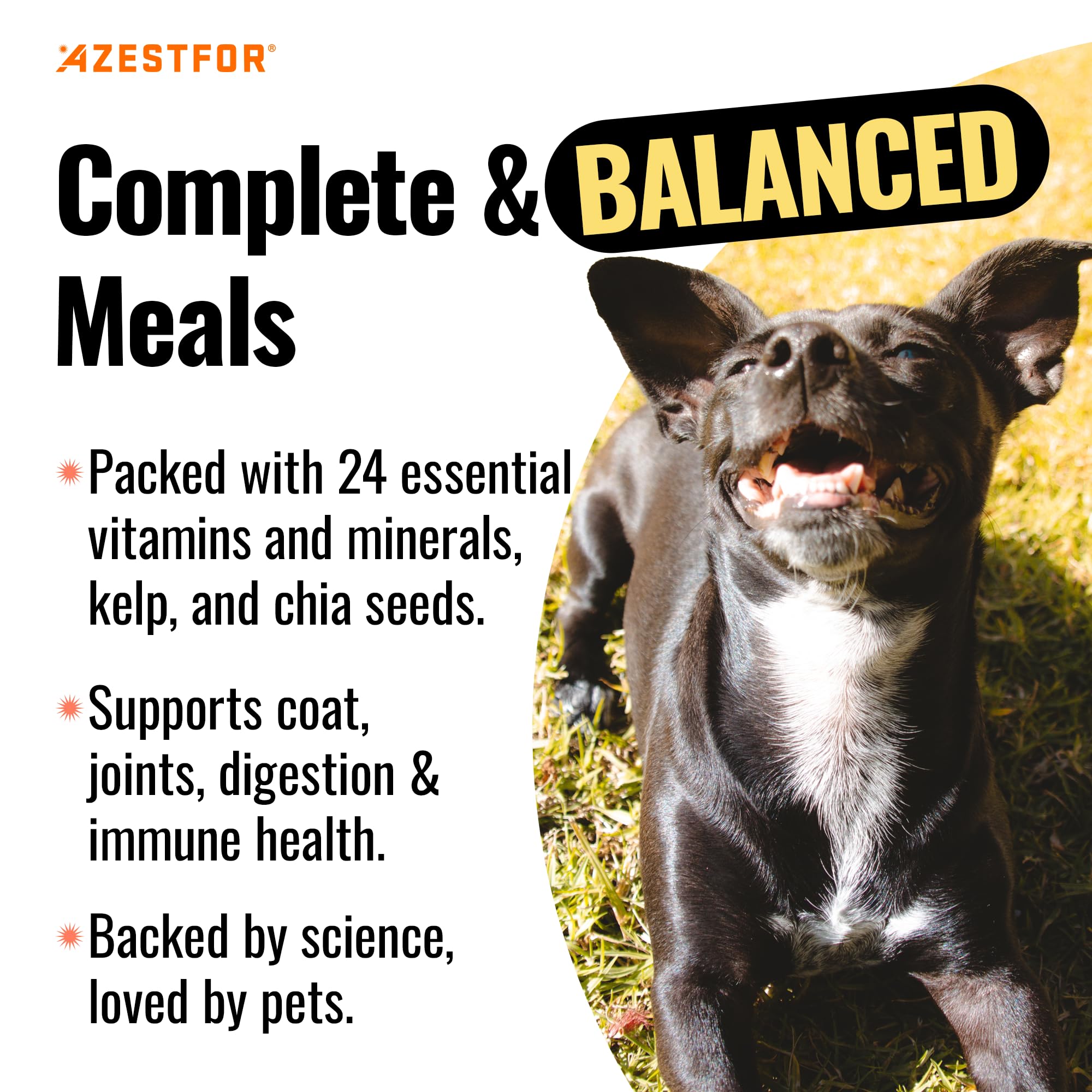 Algues kelp et graines de chia intégrées dans la formule Azestfor.