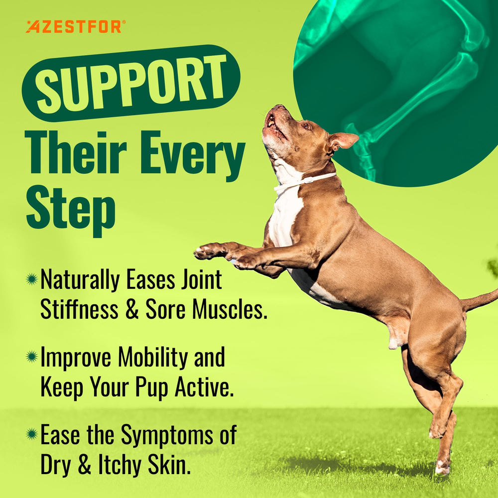 Azestfor Etiquette sans additifs: formule naturelle et sûre pour chiens.
