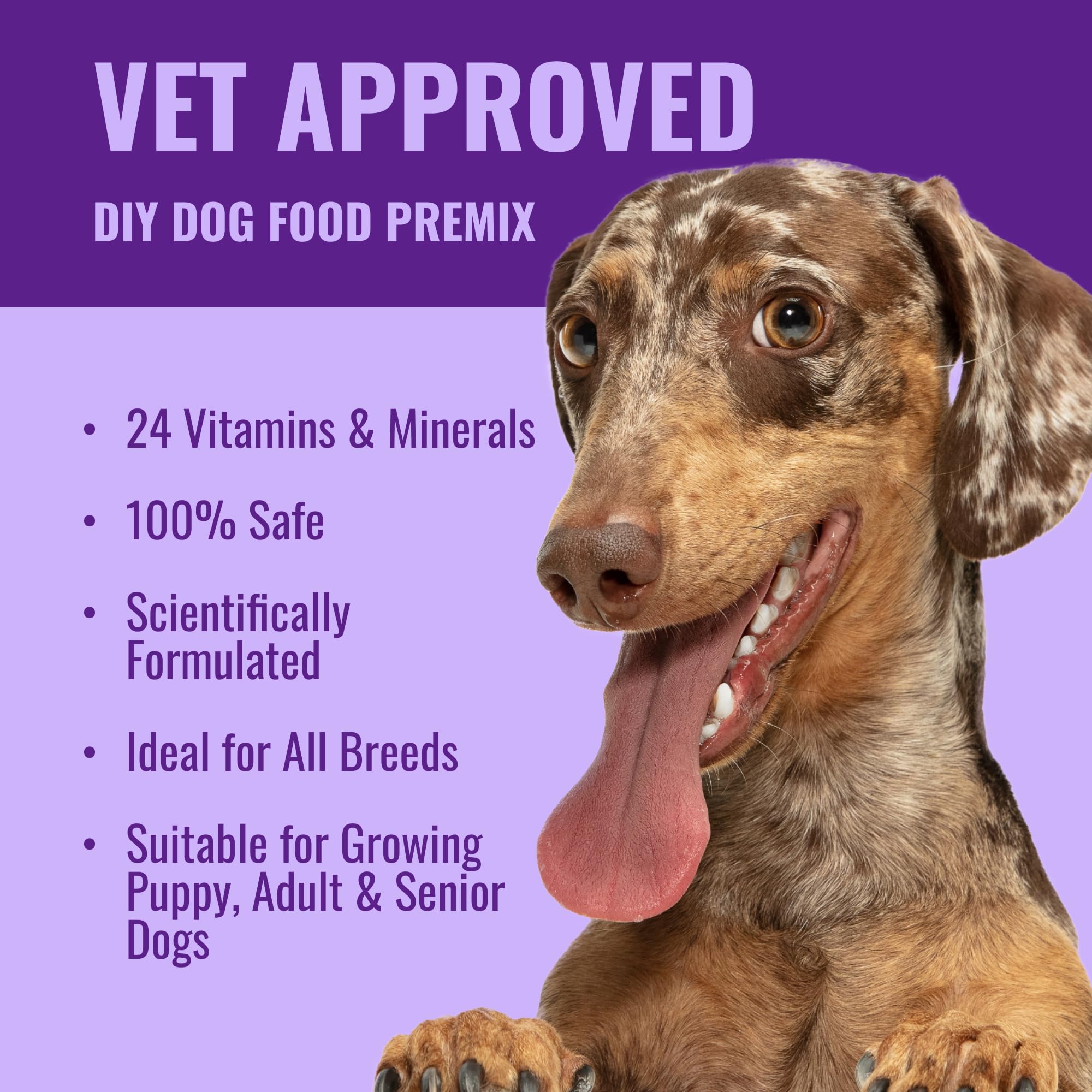 Azestfor instructions dosage chien : guide clair pour doser dans les repas.