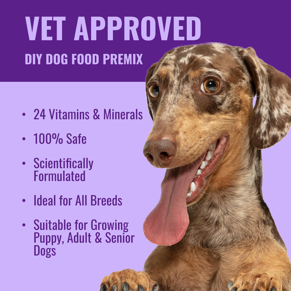 Azestfor instructions dosage chien : guide clair pour doser dans les repas.