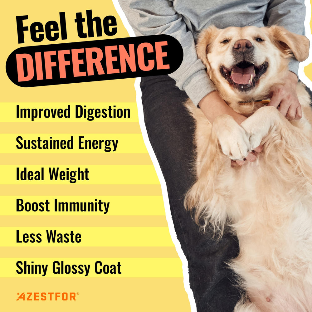 Azestfor recettes saines chien : recettes simples et appréciées par les chiens.
