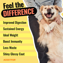 Azestfor recettes saines chien : recettes simples et appréciées par les chiens.