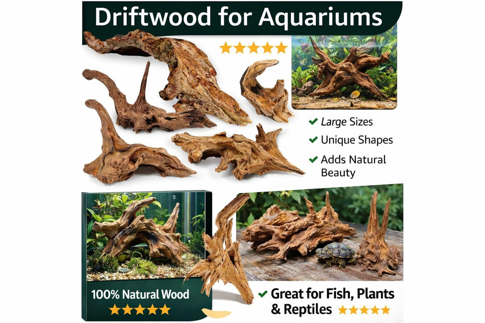 Azil bois flotté naturel convient aussi bien aux aquariums d'eau douce qu'aux marins.