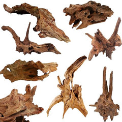 Azil bois flotté naturel parfait pour terrariums et arrangements botaniques.