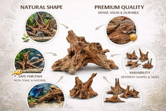 Azil bois flotté naturel parfait pour l'aquascaping et les projets faits maison.