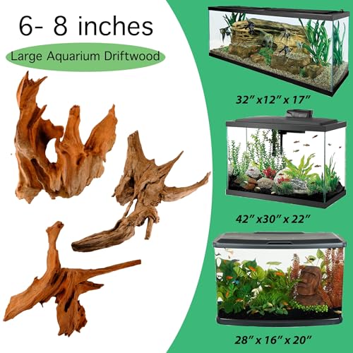Azil bois flotté naturel offre refuge pour les poissons et décor paisible dans l’aquarium.