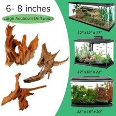 Azil bois flotté naturel offre refuge pour les poissons et décor paisible dans l’aquarium.