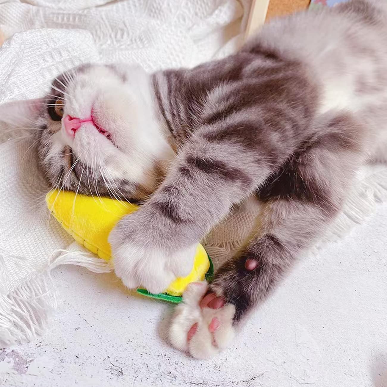 Jouet AZOFFYIU, herbe à chat naturelle, facilite l'attirance et l'exploration.
