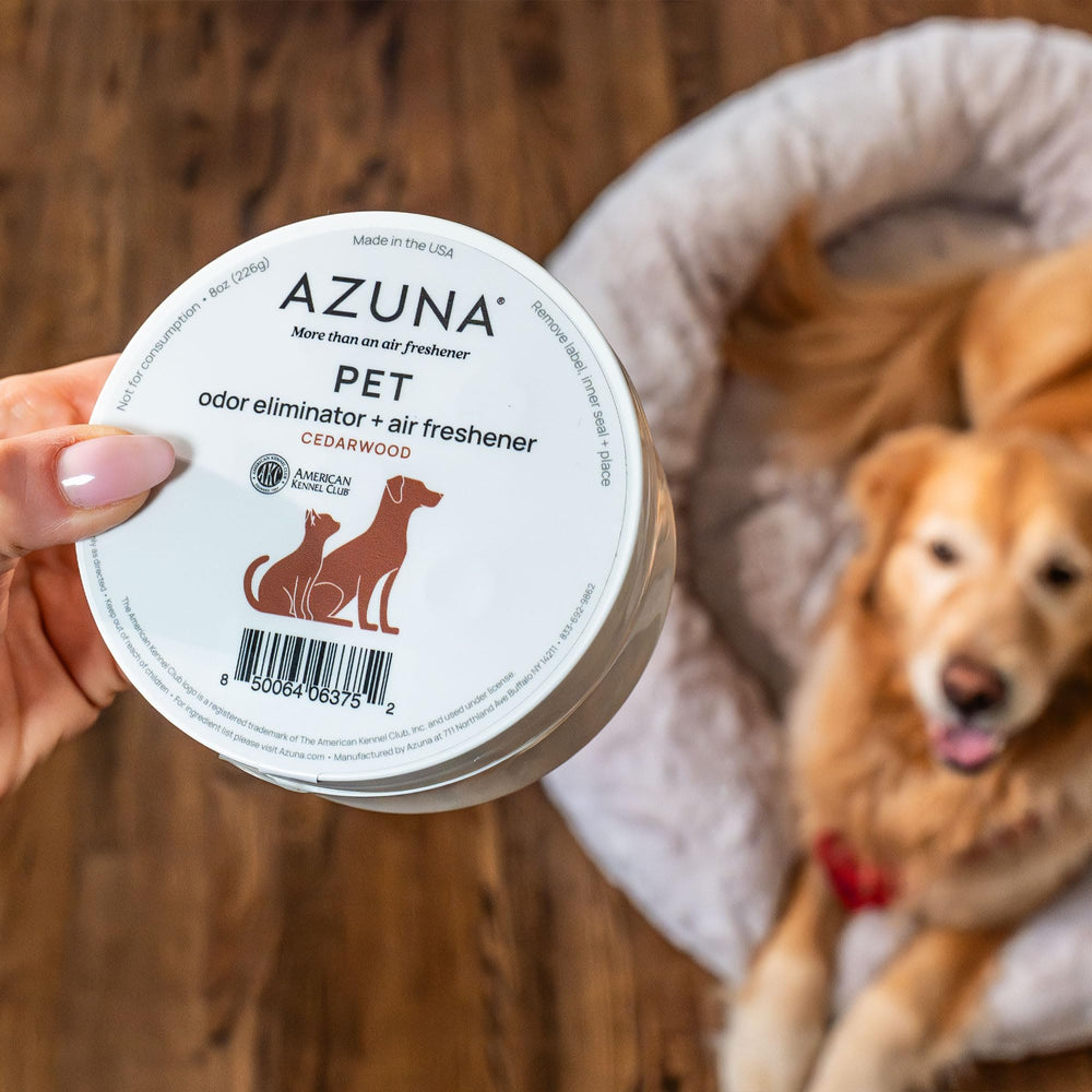 Azuna senteur cèdre doux – rafraîchit l air sans surcharge