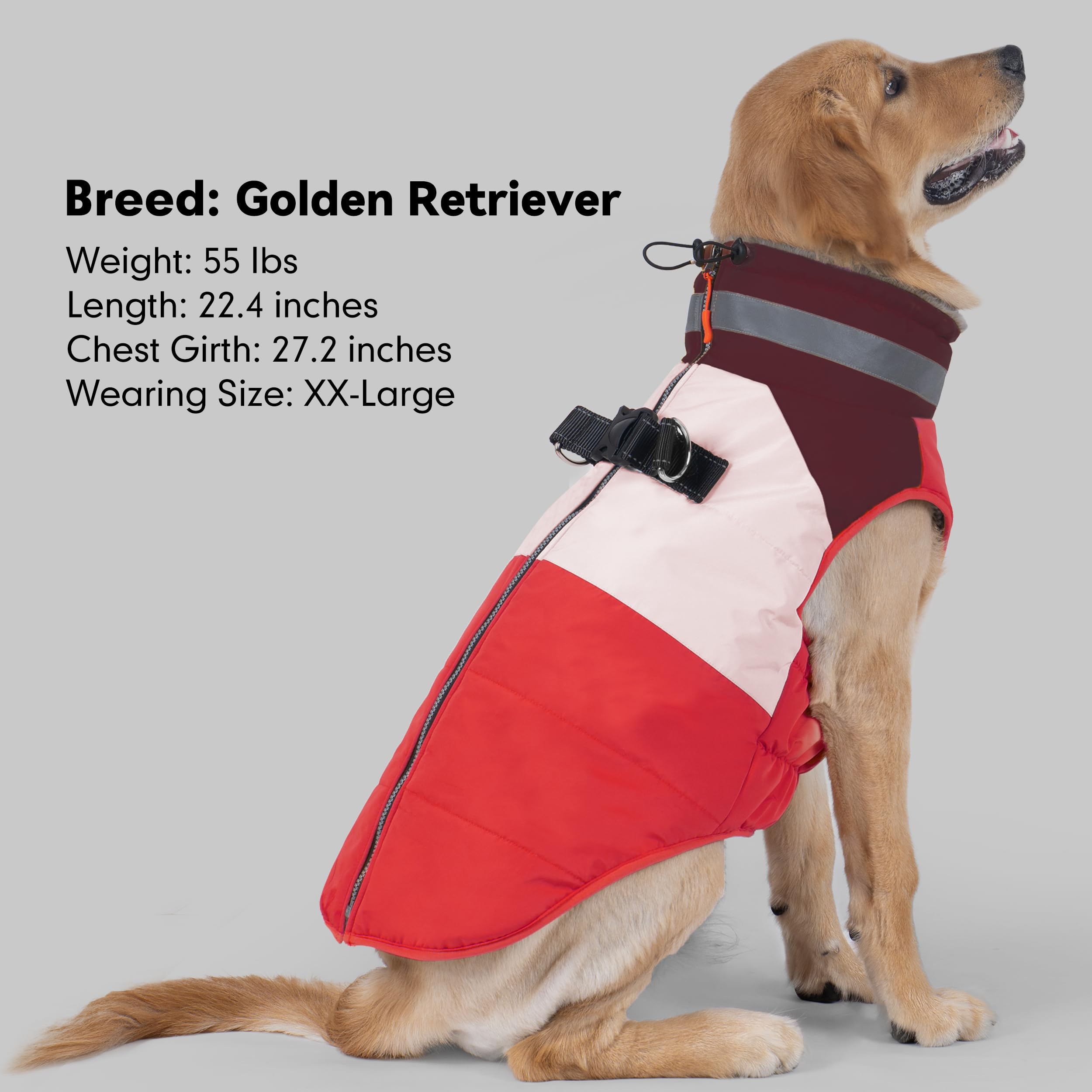 Manteau azuza grande taille 3XL pour chiens de grandes races