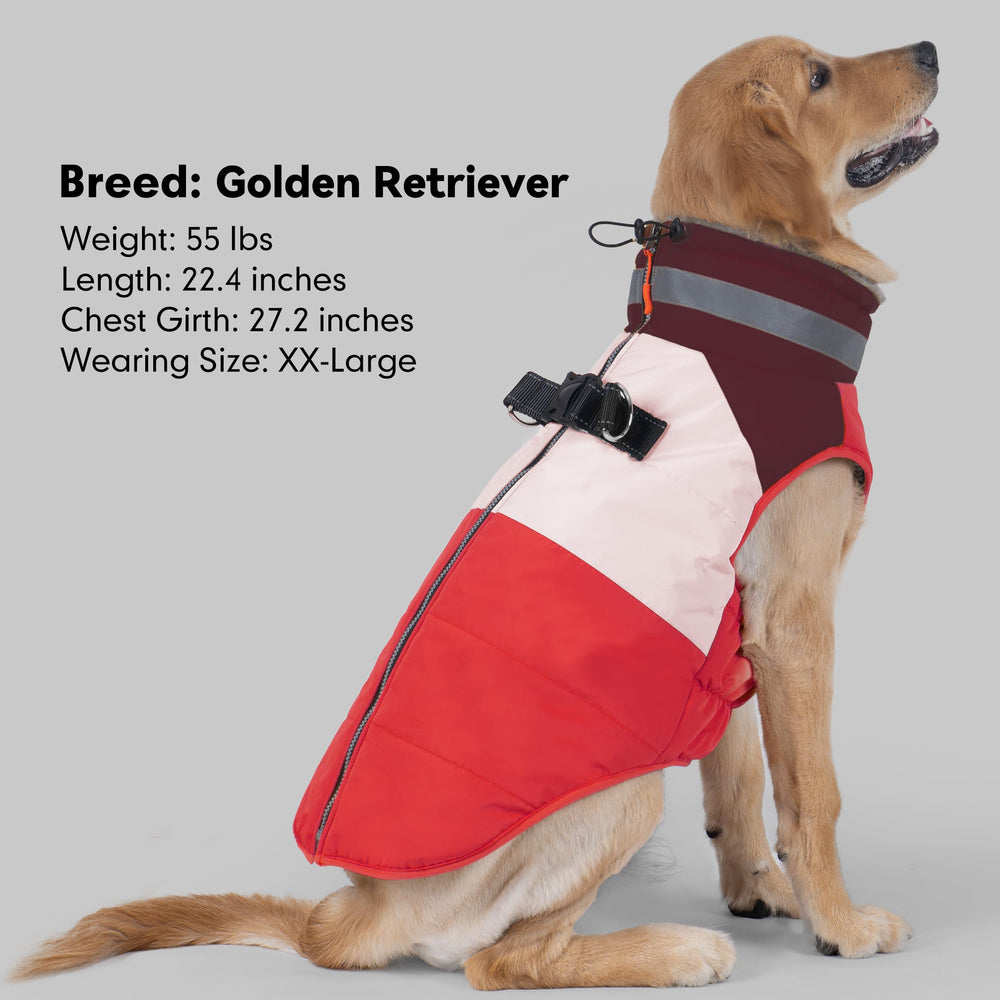 Manteau azuza grande taille 3XL pour chiens de grandes races