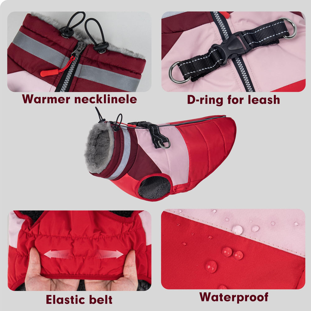 Veste Azuza pour chien: réglage du cou par cordon