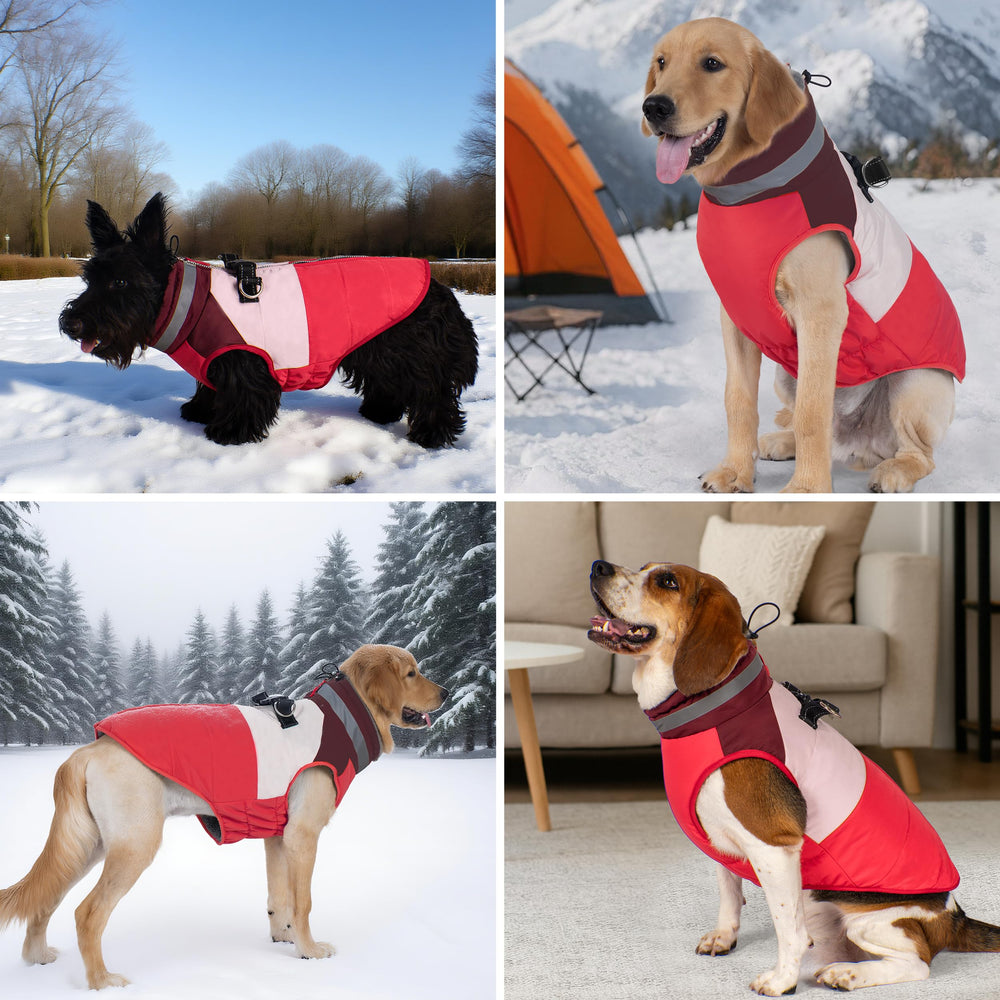Veste Azuza pour chien: usage quotidien pour chiens de taille moyenne à grande