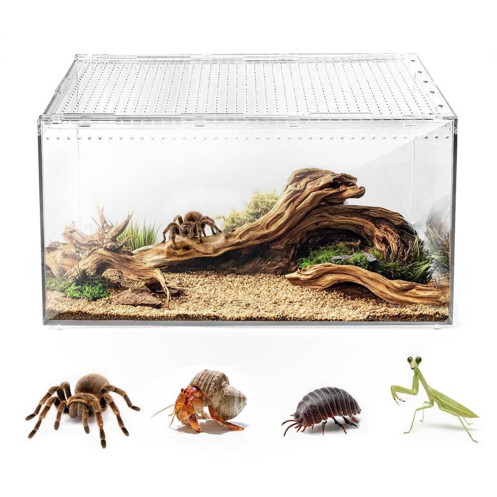 AZV Terrarium anti‑évasion avec couvercle magnétique pour tarantules et geckos, sécurité.