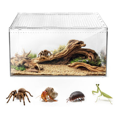 AZV Terrarium anti‑évasion avec couvercle magnétique pour tarantules et geckos, sécurité.
