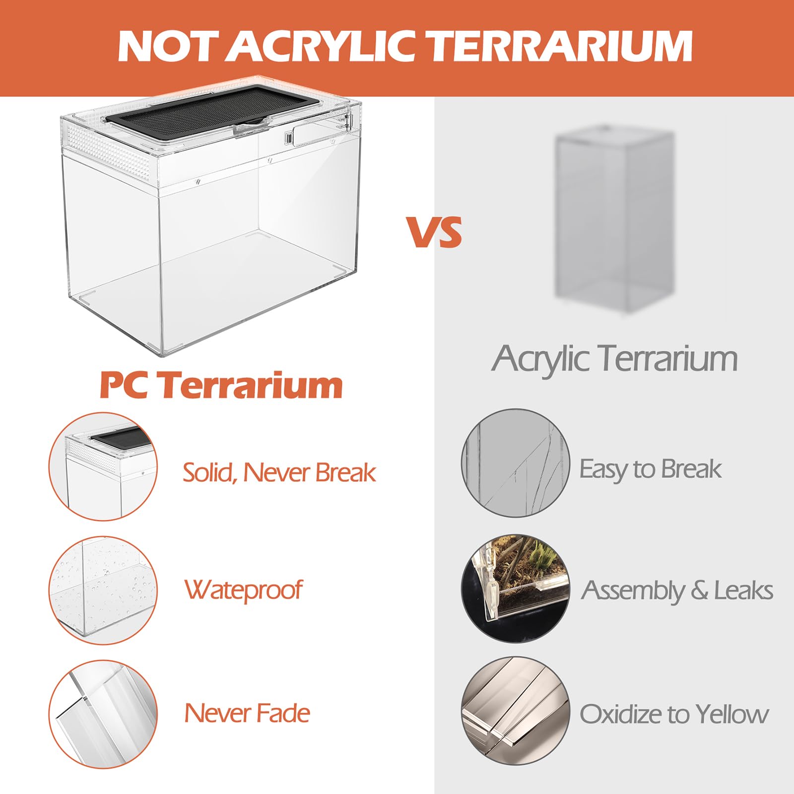 AZV terrarium: base étanche facilitant le nettoyage et l'entretien.