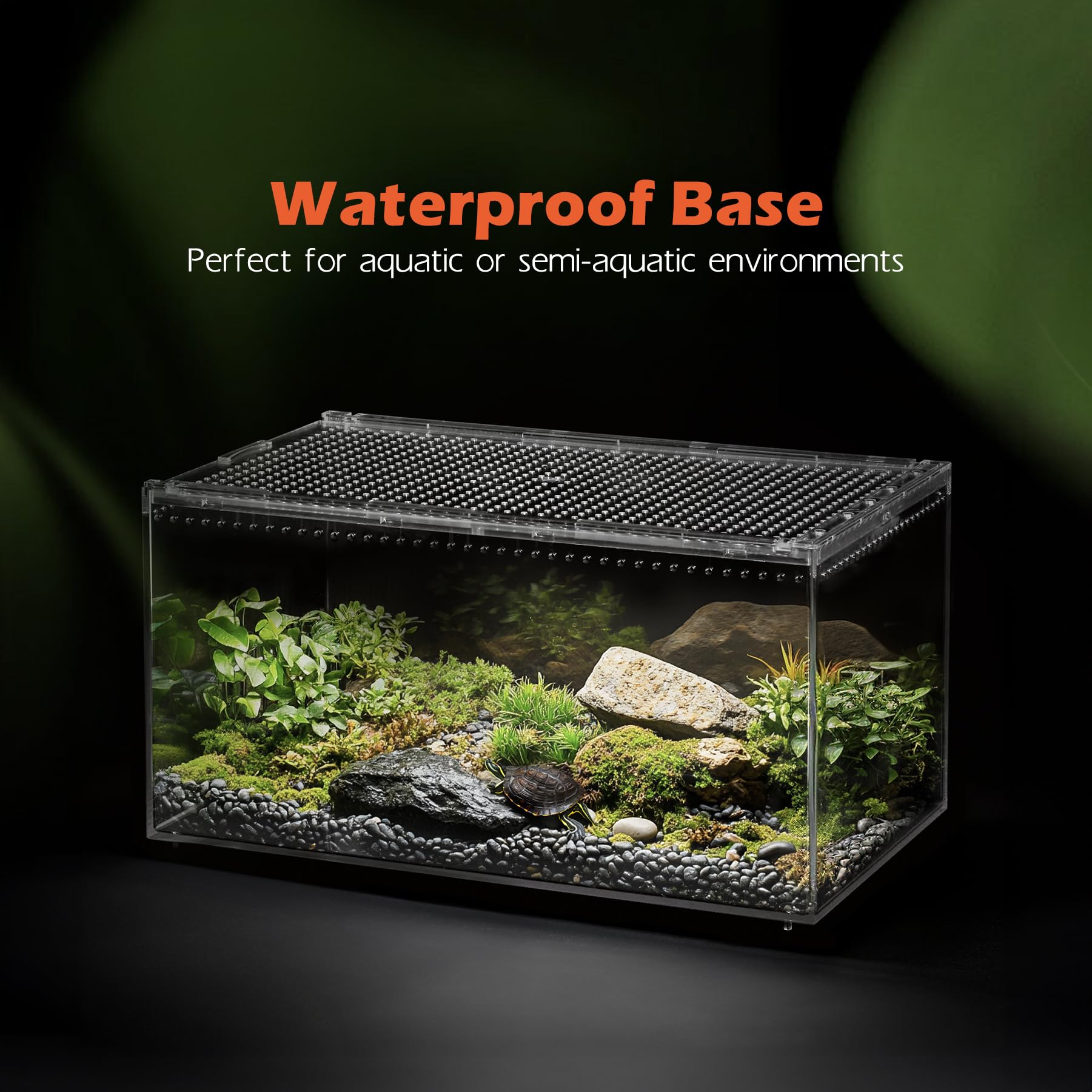 AZV Terrarium design durable, habitat réutilisable et clair.