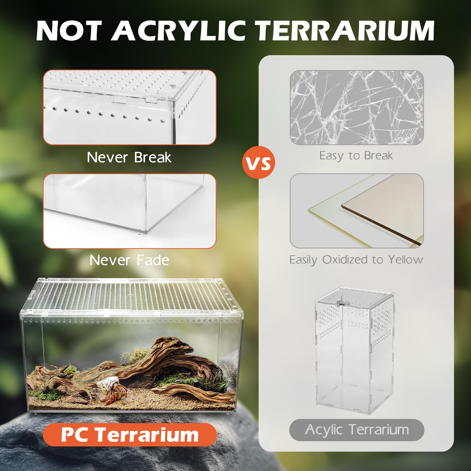 AZV Terrarium nettoyage facile, intérieur lisse prêt à l’entretien.