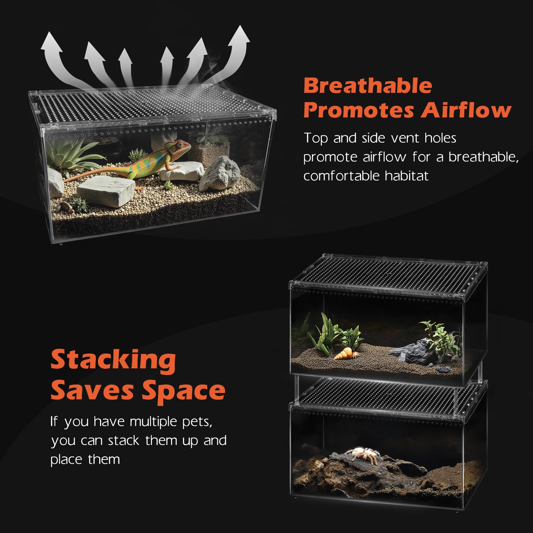 AZV Terrarium adapté pour geckos, hermites et insectes, usage polyvalent.