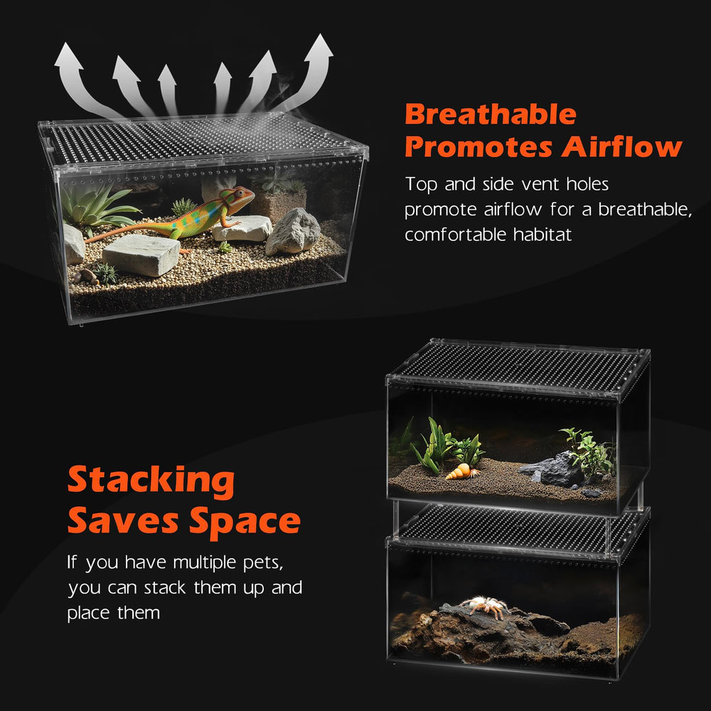 AZV Terrarium adapté pour geckos, hermites et insectes, usage polyvalent.