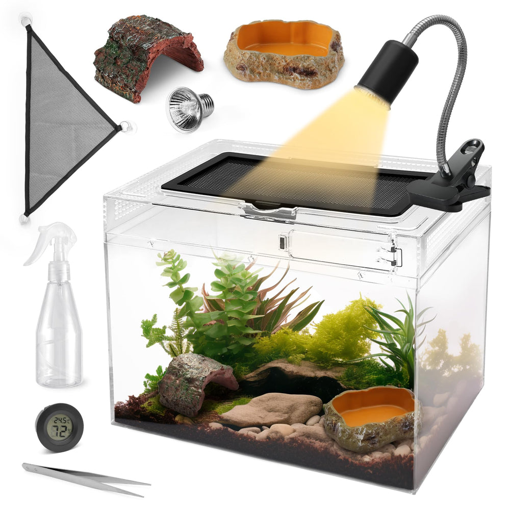 AZV terrarium kit ensemble: vue principale du système tout-en-un pour reptiles.