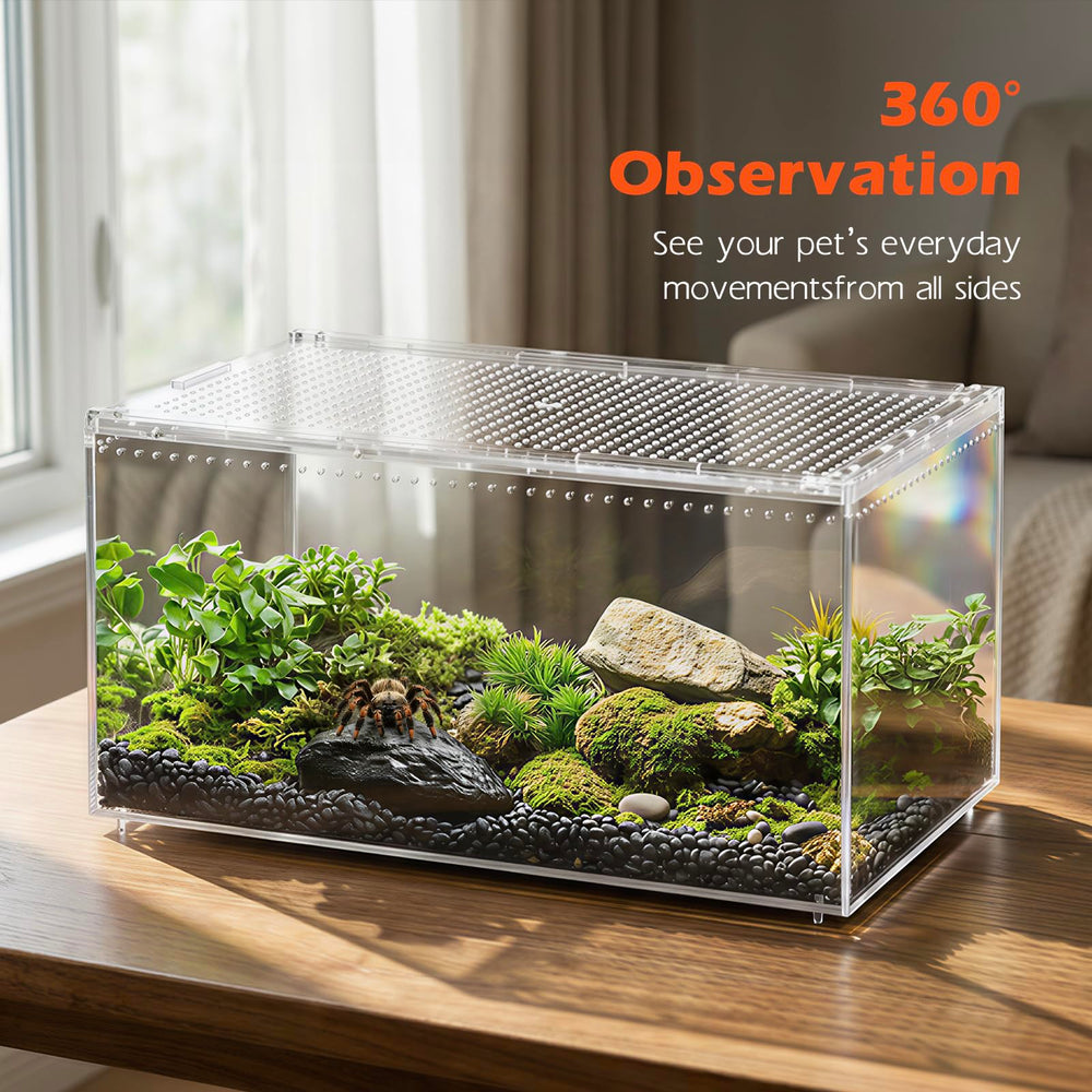 AZV Terrarium idéal pour bureau et salle de classe, présentation sécurisée.