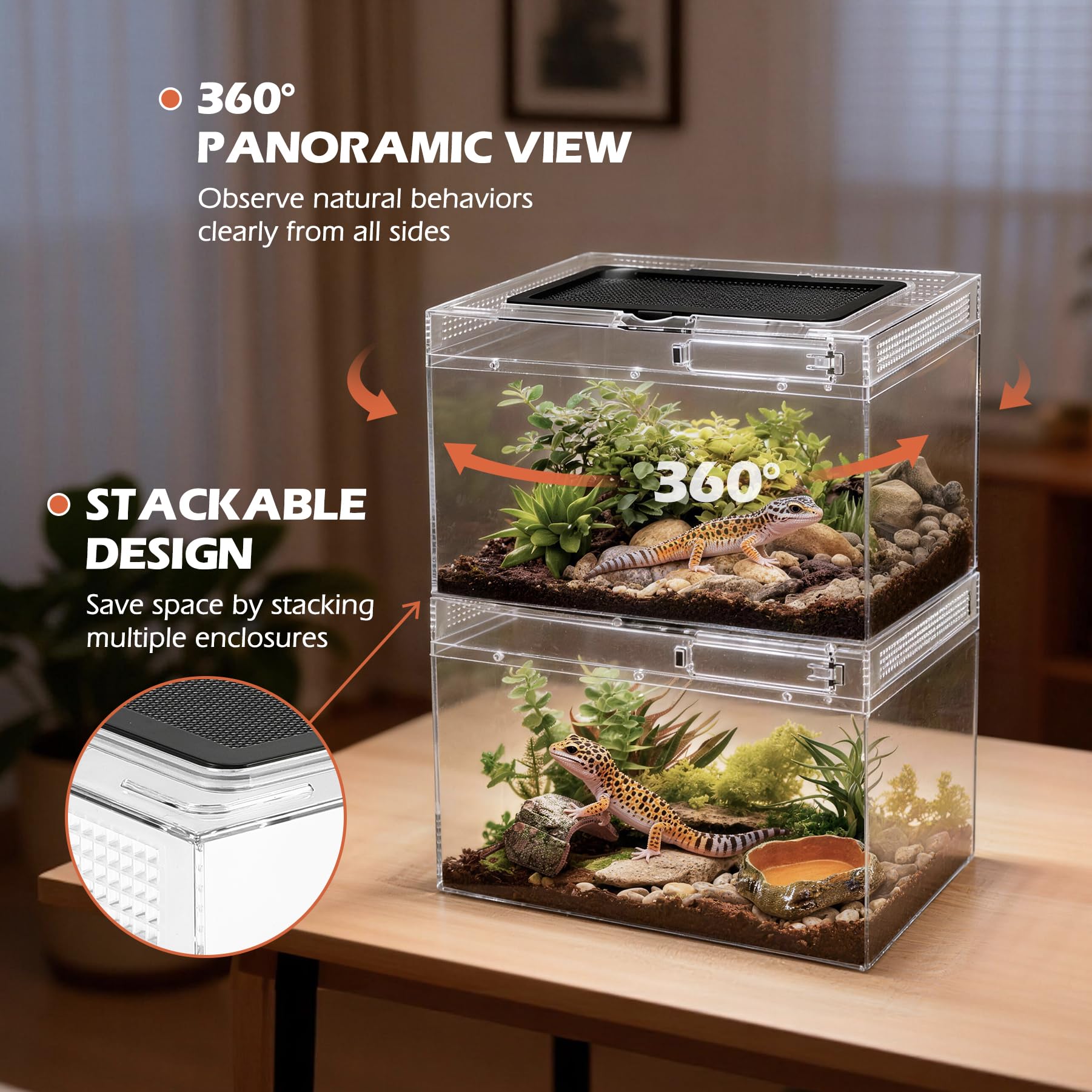 AZV Terrarium: hamac dragon-barbu offrant un endroit confortable.