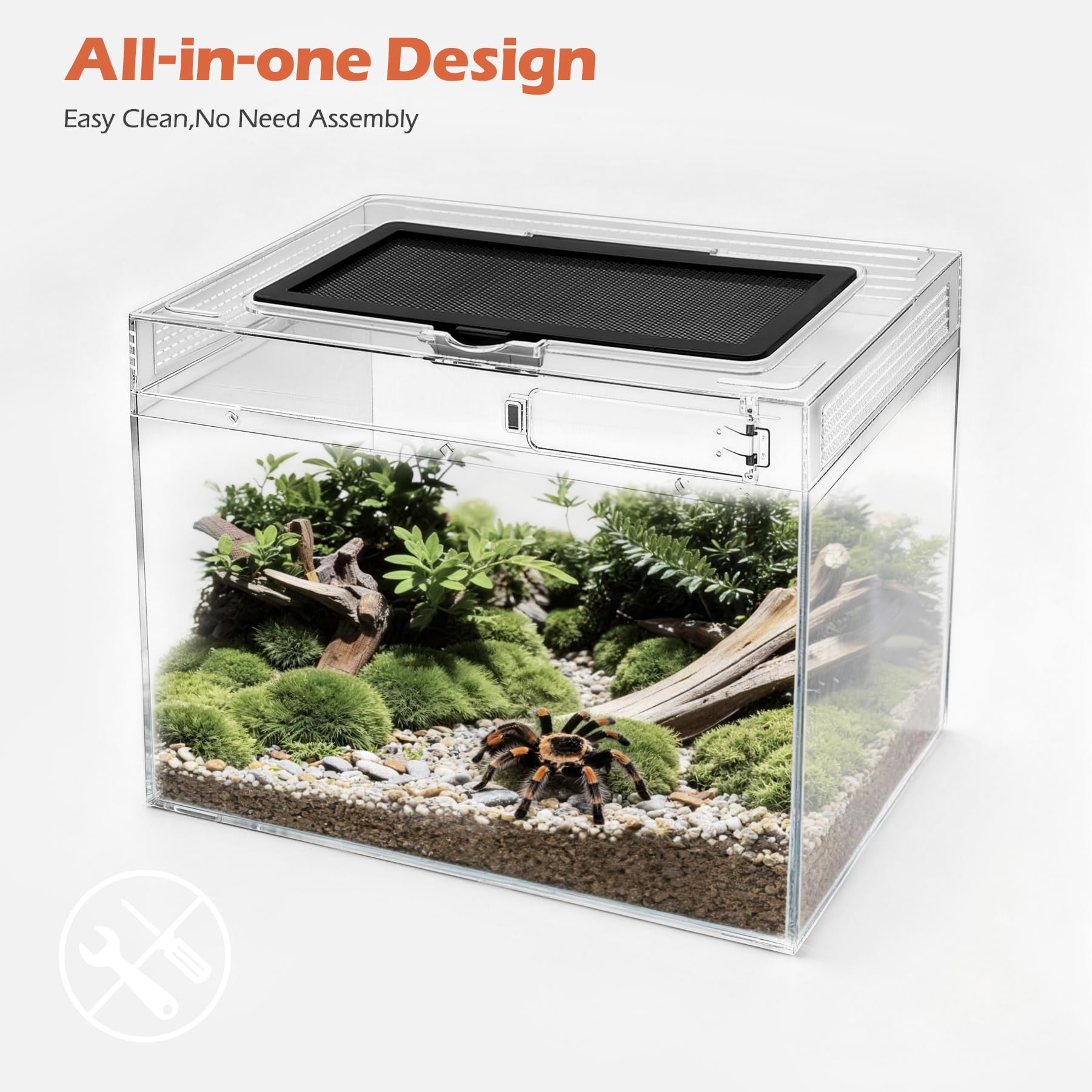 AZV Terrarium: lampe chauffante incluse pour réguler la chaleur.