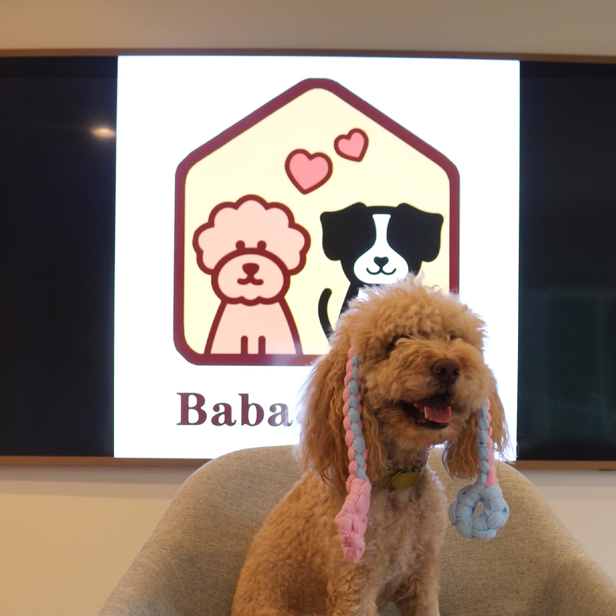 Jouet Baba&Nana cadeau parfait pour chiens et propriétaires qui aiment jouer.