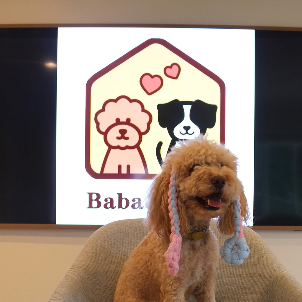 Jouet Baba&Nana cadeau parfait pour chiens et propriétaires qui aiment jouer.