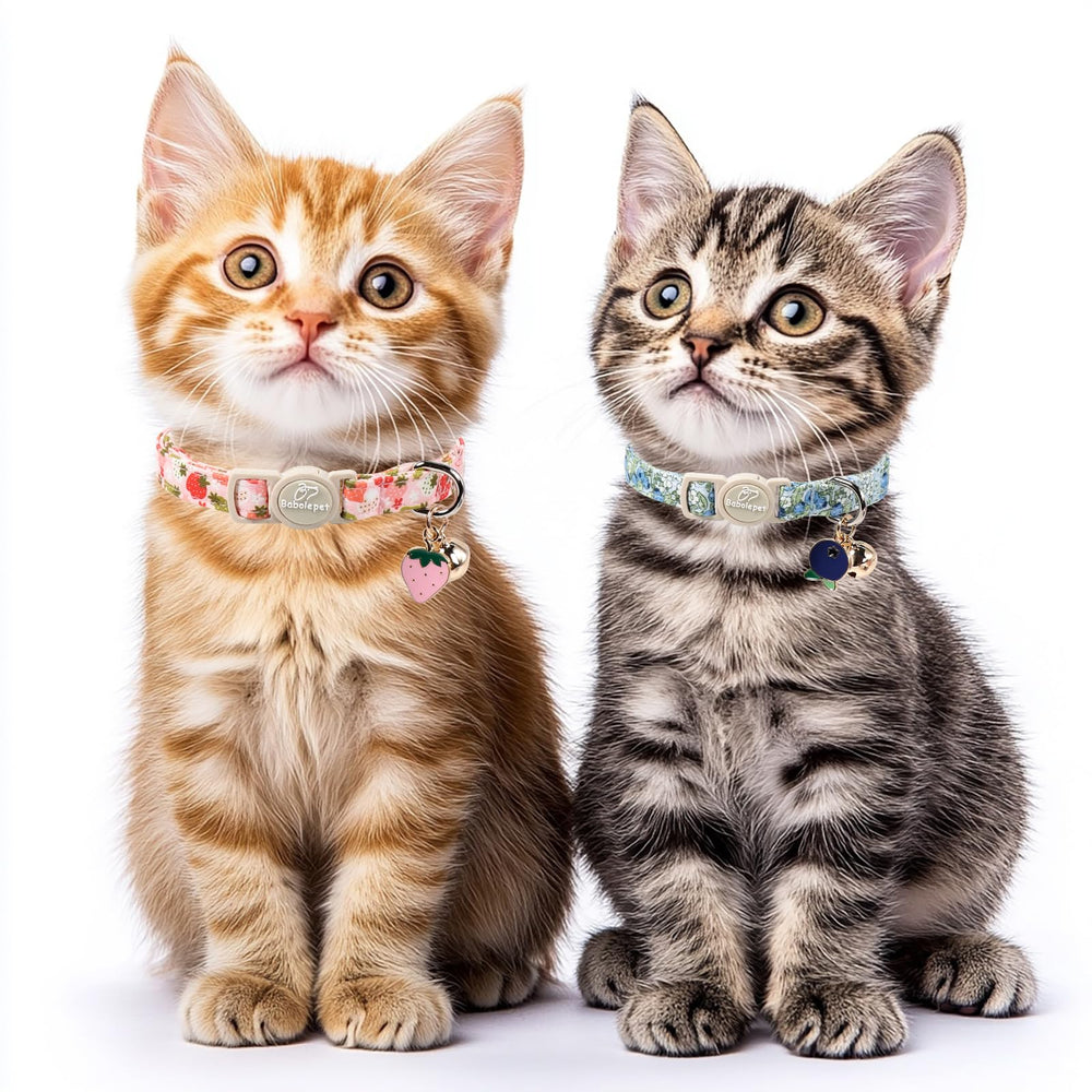 Babole Pet collier chat avec cloche et pendentif amovibles, ajout de charme sécurisé