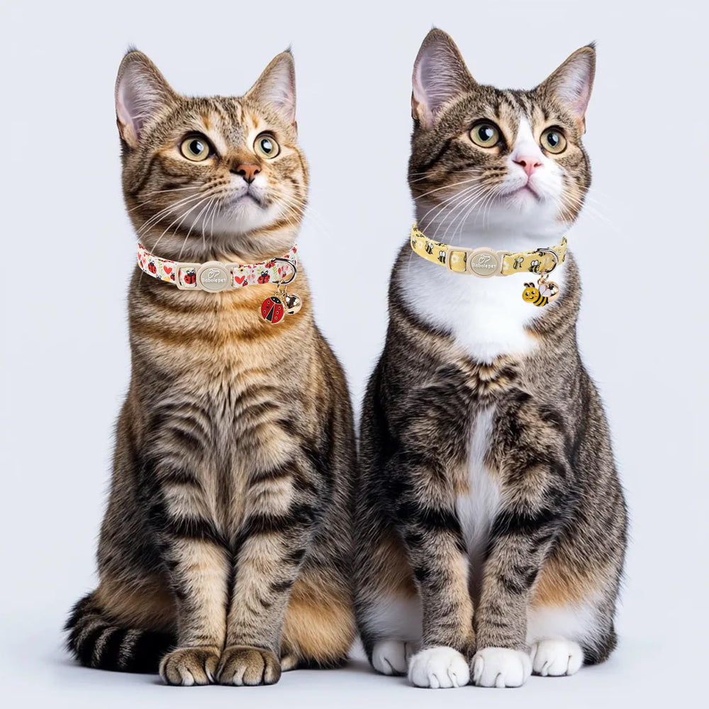 Babole Pet collier chat dessin animé coccinelle — style coloré et clochette pour repérer votre chat.