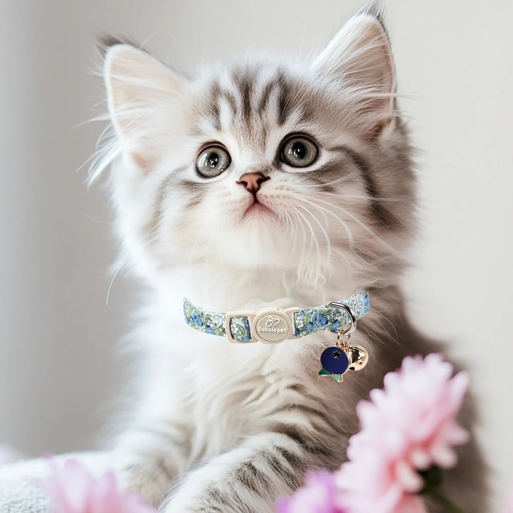 Babole Pet collier chat cadeau idéal emballage prêt à offrir