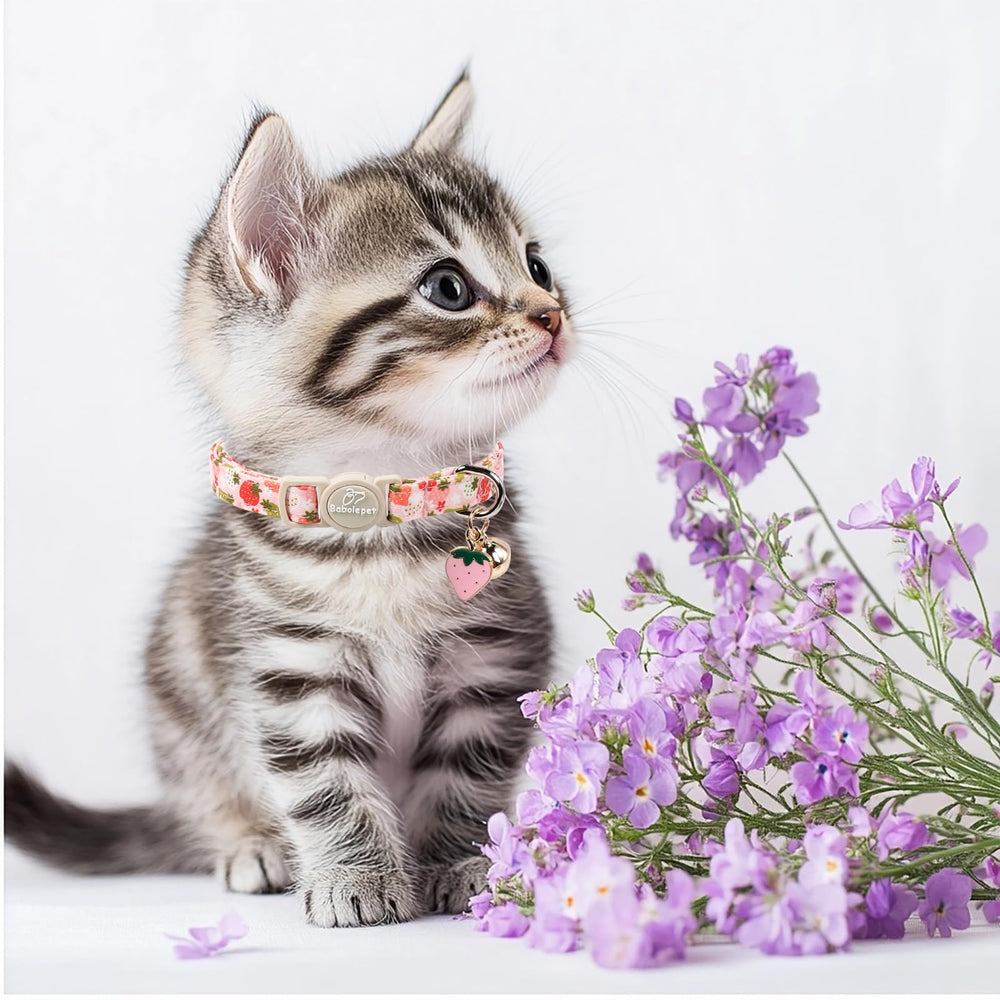Babole Pet collier chat fermeture sécurité prévention des étranglements