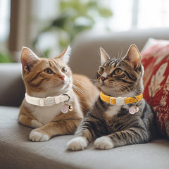 Ouverture de sécurité automatique sur le collier Babole Pet pour chats.