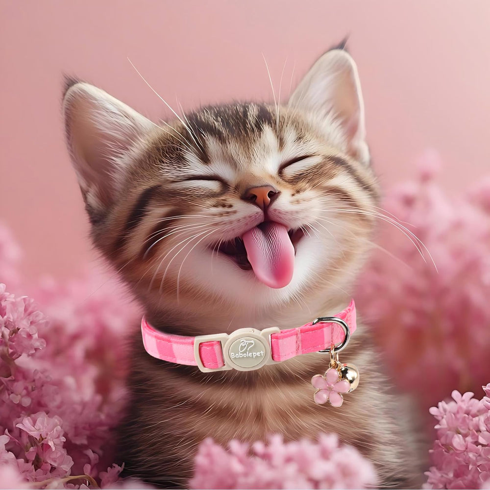 Babole Pet collier porté, design élégant rose pour sorties quotidiennes.