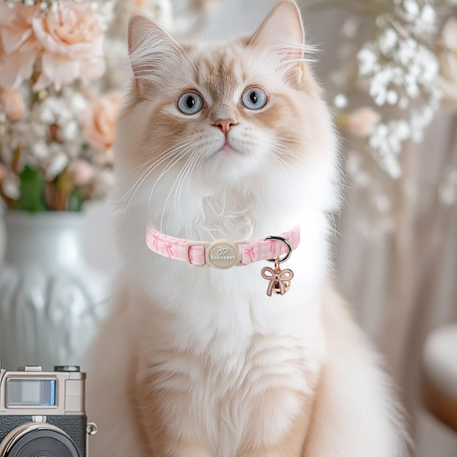 Collier Babole Pet réglable pour chat et chaton, ajustement sûr.
