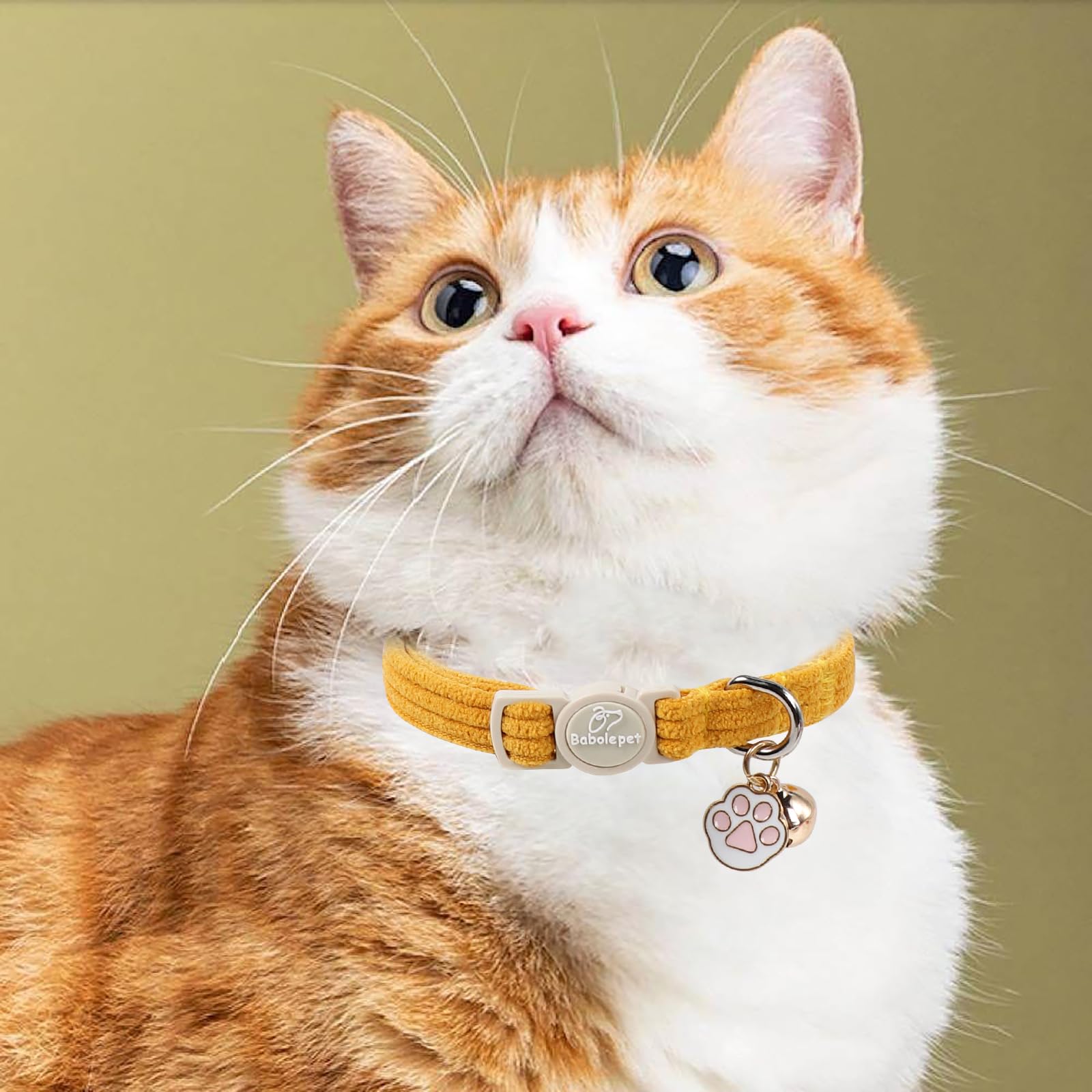 Ajustable de 19,8 à 30,5 cm, parfait pour les chats en croissance.