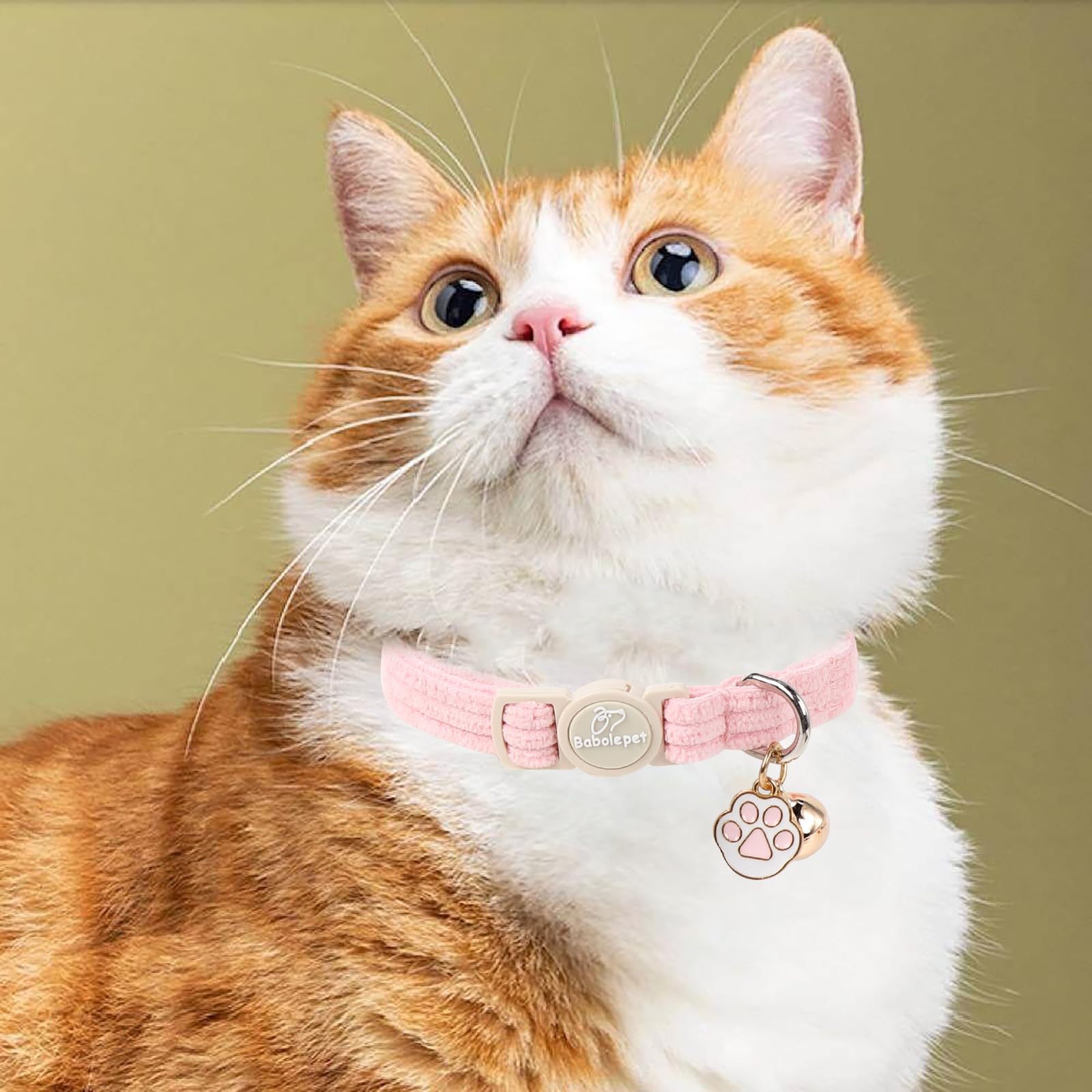 Babole Pet collier corduroy rose foncé, parfait comme cadeau pour occasions.