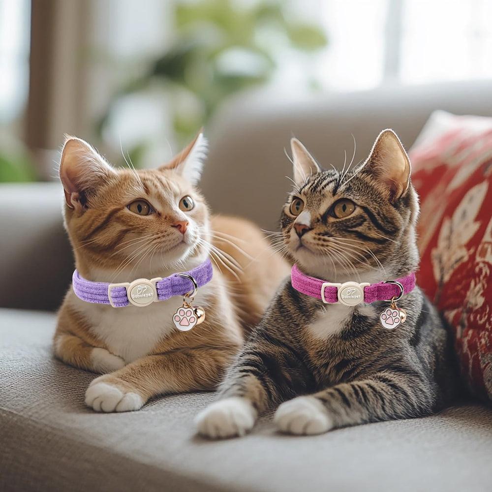 Collier Babole Pet velours côtelé fuchsia avec bouton d’urgence pour éviter l’étranglement lors du jeu.