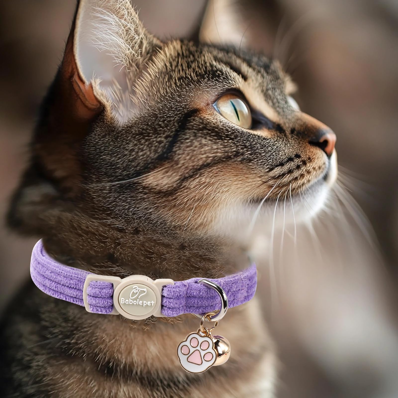 Collier Babole Pet velours côtelé rose clair, réglable pour accompagner la croissance des chatons.