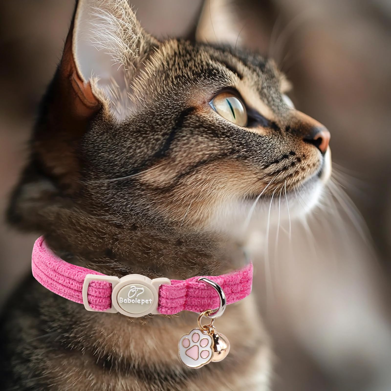 Babole Pet pendentif patte et clochette, accessoire mignon et pratique pour le chat.
