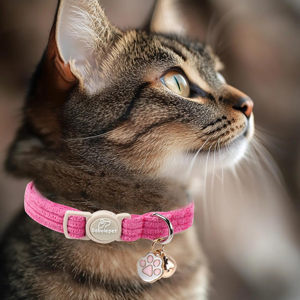 Babole Pet pendentif patte et clochette, accessoire mignon et pratique pour le chat.