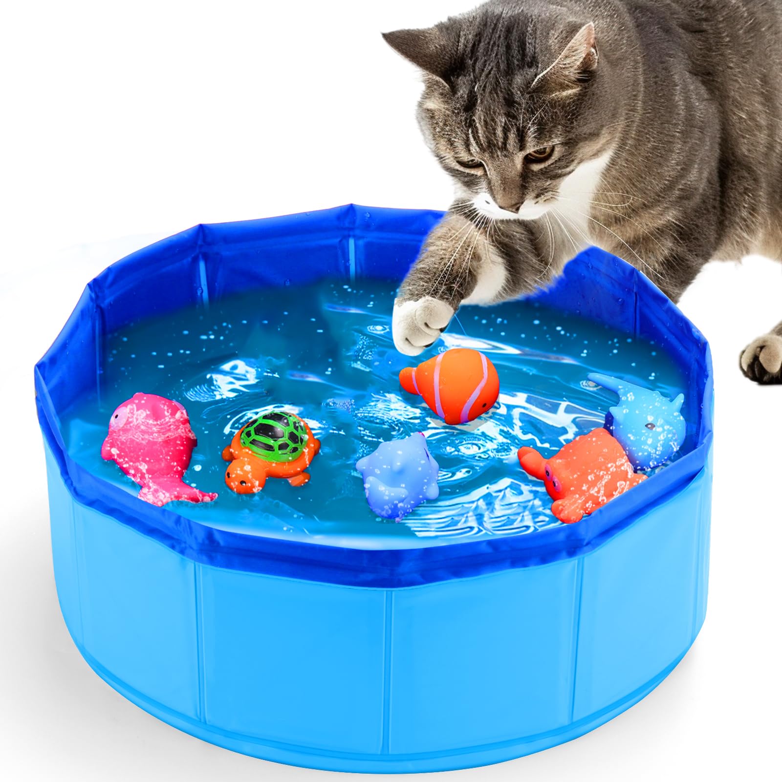 BABORUI jouet chat piscine poisson flottant pour stimulation et amusement.