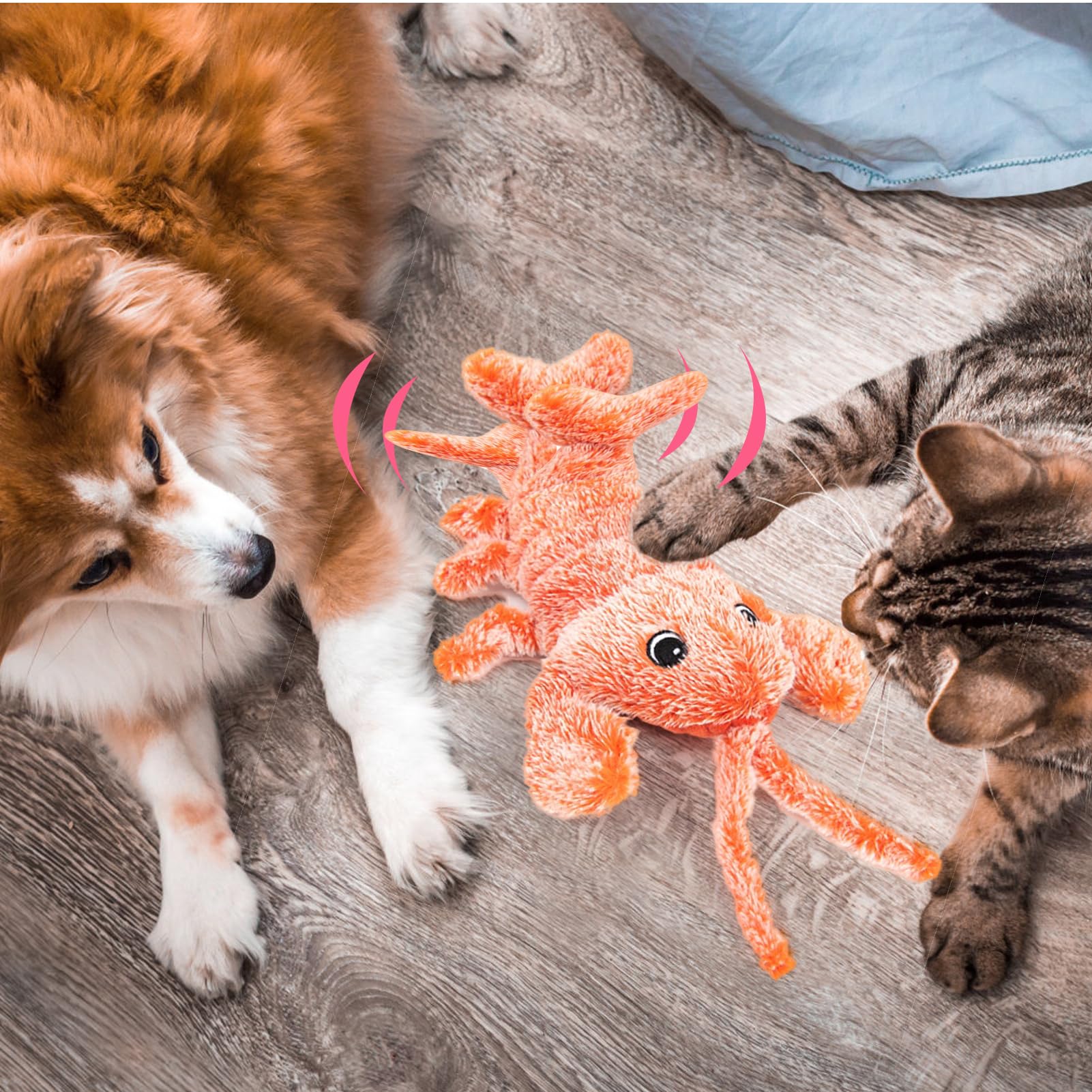BABORUI: jouet polyvalent pour chiens de toutes tailles et usages.